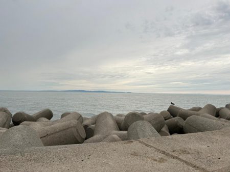 魚津港 フカセ釣り