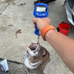 キス釣り行ったのに、まさかの鯛