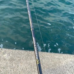 キジハタゲームく