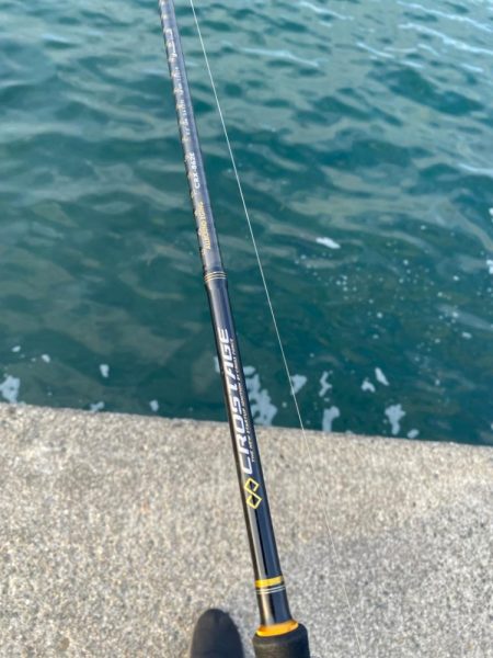 キジハタゲームく