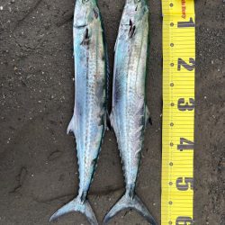 君じゃないんだけど、まあいいか