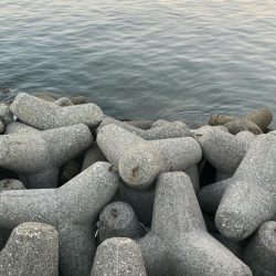 ⭐︎そろそろ苦潮気配