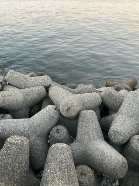 ⭐︎そろそろ苦潮気配