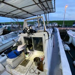 タイラバで高級魚