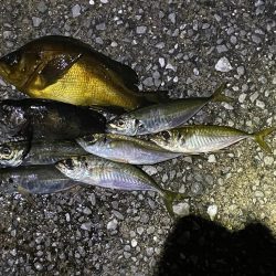 雨の合間を打って