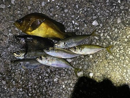 雨の合間を打って