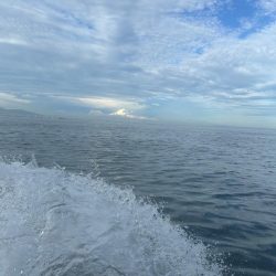 数は少ないですが4目達成！