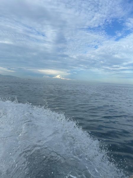 数は少ないですが4目達成！