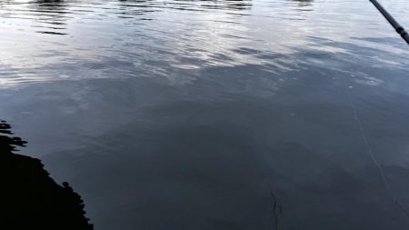 マゴチをバイブレーションで釣る