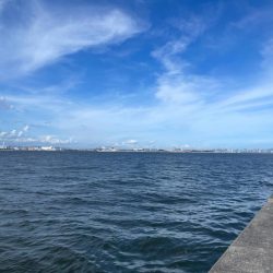 武庫一のBIG登場!