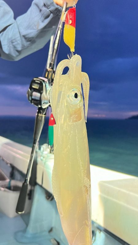 ケンサキイカ/イカメタル・オモリグ