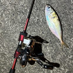 再調査アジング