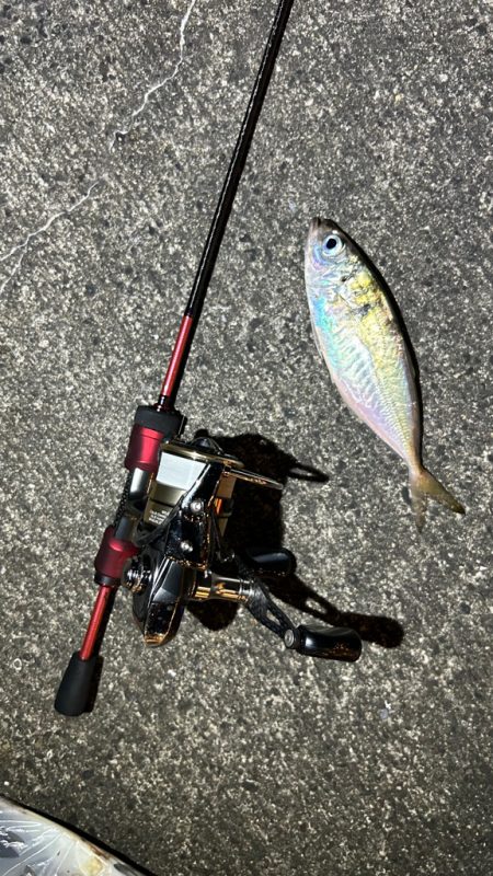 再調査アジング