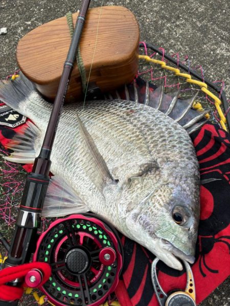 ヘチってきました