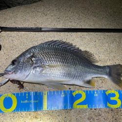 淀川ブリームゲーム