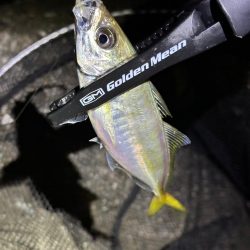 酷暑の中のフロートゲーム