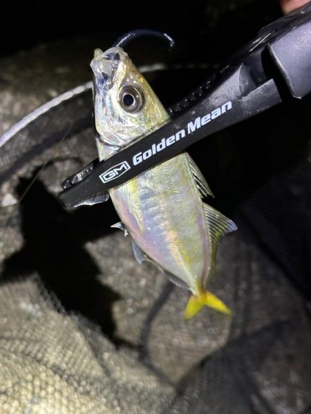 酷暑の中のフロートゲーム