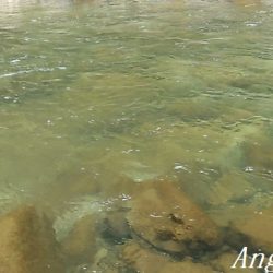 梅雨時の渇水は厳しい