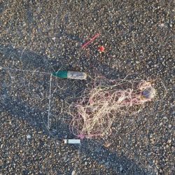 清掃活動：梅雨明けメバル調査