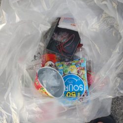 清掃活動：姉妹の鯛ラババトル！