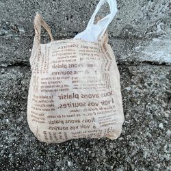 清掃活動：小サバ海遊中