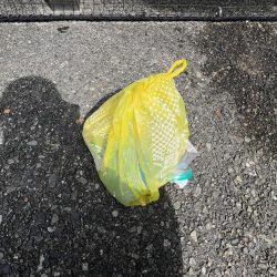 清掃活動：豆アジ渋い