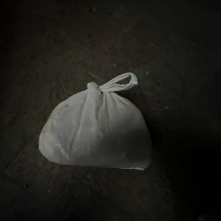 清掃活動：アジ激渋