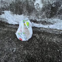 清掃活動：ダツ襲来