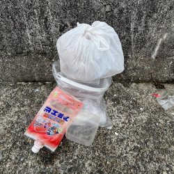 清掃活動：アジ回遊中