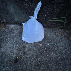 清掃活動：爆風！激渋！