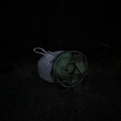 清掃活動：サビキ御三家回遊中