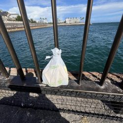 清掃活動：おせん多め