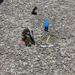 清掃活動：大サバゲット！