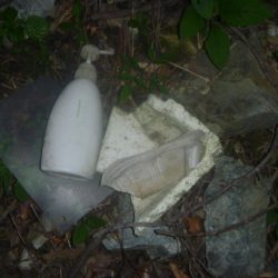 清掃活動：七月バス