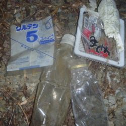 清掃活動：7月のなまず