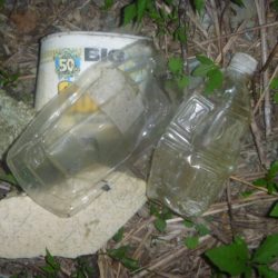 清掃活動：夏なまず