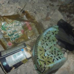 清掃活動：夕方バス釣り