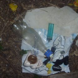 清掃活動：そよ風バス釣り