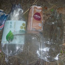 清掃活動：夕方に良い風