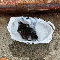 清掃活動：デカチヌ ！