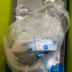 清掃活動：日本海イカメタル