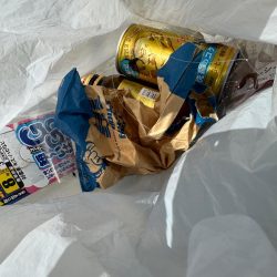 清掃活動：キス釣り