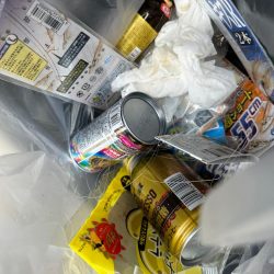 清掃活動：シロギス釣り