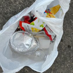 清掃活動：おチヌさん好調です