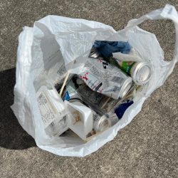 清掃活動：エビ撒き　活性高いです