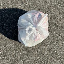 清掃活動：下潮釣行　時合いは一瞬でさした