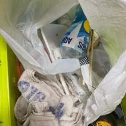 清掃活動：和歌山イカメタル