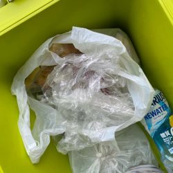 清掃活動：タイラバで高級魚