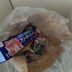 清掃活動：イカメタル（2回目）！！