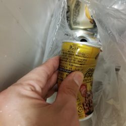 清掃活動：オキアミでベラ